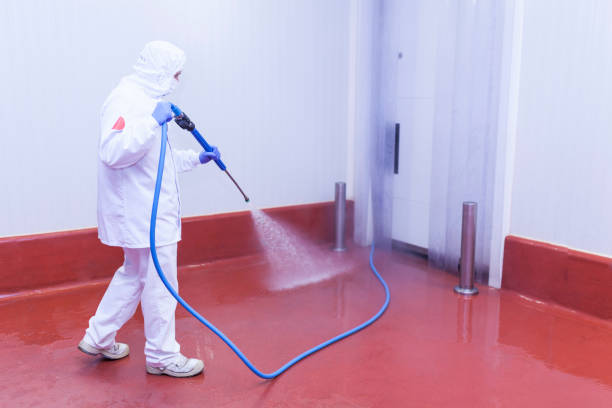 Best Playground Equipment Cleaning  in Springfield, FL