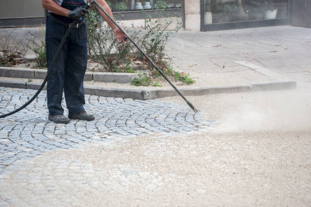 Best Patio and Deck Pressure Washing  in Springfield, FL