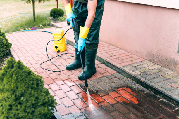 Best House Exterior Washing  in Springfield, FL
