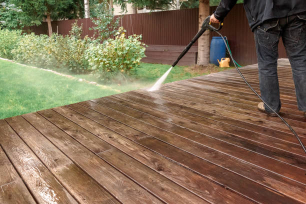 Best Gutter Cleaning  in Springfield, FL